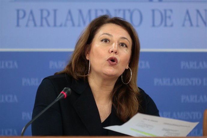 Carmen Crespo, este miércoles en rueda de prensa