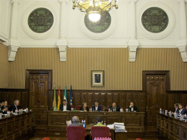 Pleno ordinario de la Diputación de Jaén.