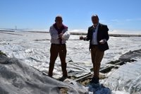 Ayuntamiento de Vícar (Almería) detecta daños por la tormenta de granizo en 12 hectáreas de invernadero