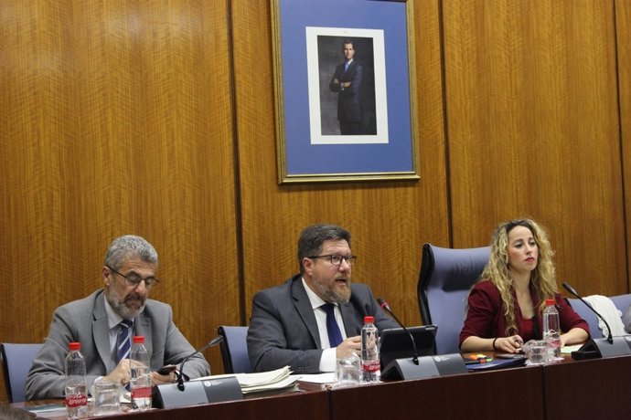 Rodrigo Sánchez Haro, en comisión parlamentaria.