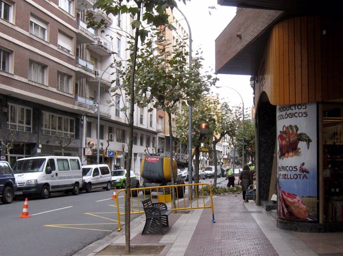 Imagen de operarios podando en la Avenida de Portugal