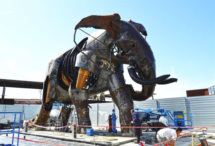 El elefante de la plaza de BIOPARC Valencia se llamará Escipión