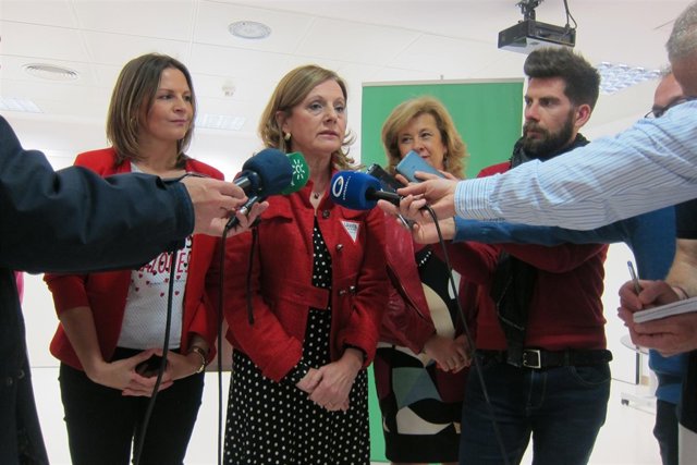 La consejera de Salud, Marina Álvarez, informa sobre el Plan de Modernización.  