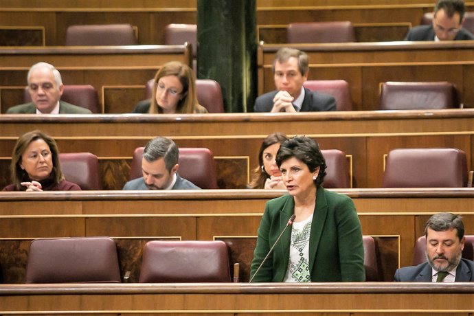 La diputada nacional del PP de Almería Carmen Navarro 