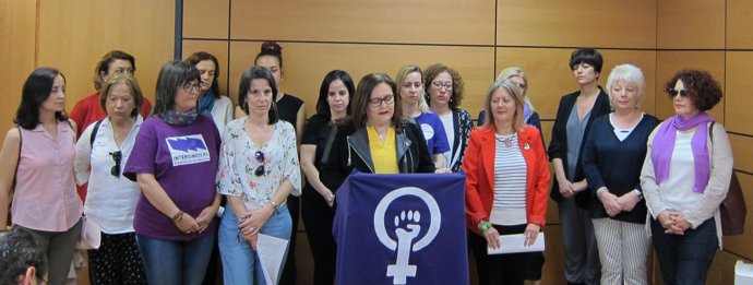 Presentación de la Asamblea Feminista de la Región    