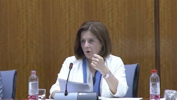 Sánchez Rubio en comisión parlamentaria