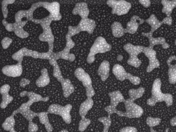 Una imagen de microscopio electrónico de barrido muestra la superficie de un nue