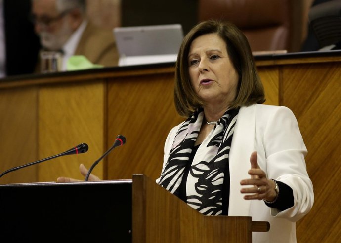 Sánchez Rubio en el pleno del Parlamento