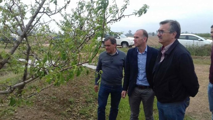El director general de Agricultura, Antonio Cabezas