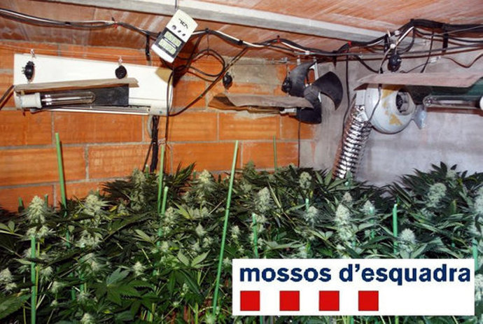 Agencia Catalana de Noticias