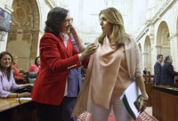 Susana Díaz dice que el "esfuerzo" de las fuerzas de seguridad están dando "resultados" contra el crimen en La Línea
