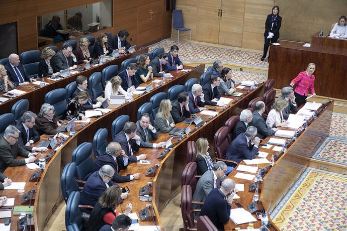 El Grupo Parlamentario Popular en la Asamblea de Madrid