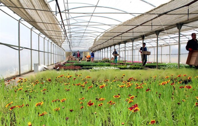 Vivero Provincial de la Diputación de Huesca (DPH)