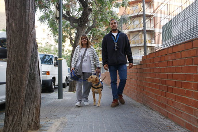 Agencia Catalana de Noticias