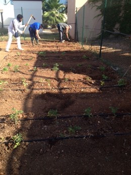 Huerto terapéutico en el Hospital de Linares