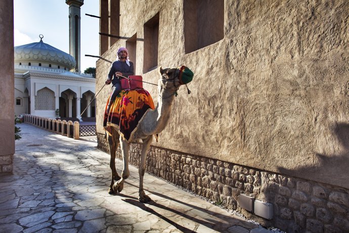 Un ciudadano de Dubái (Emiratos Árabes Unidos) montado en un camello.
