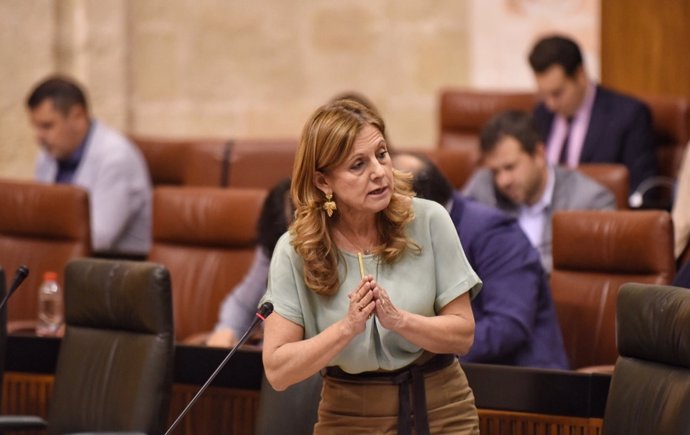 Marina Álvarez en el Pleno del Parlamento