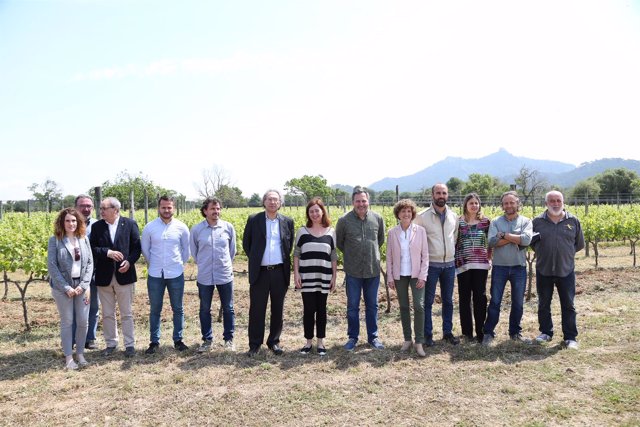 Baleares ofrecerá en el próximo curso 2018/2019 los nuevos estudios de FP en vitivinicultura
