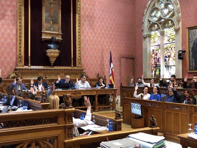 Votación durante el pleno del Consell de Mallorca