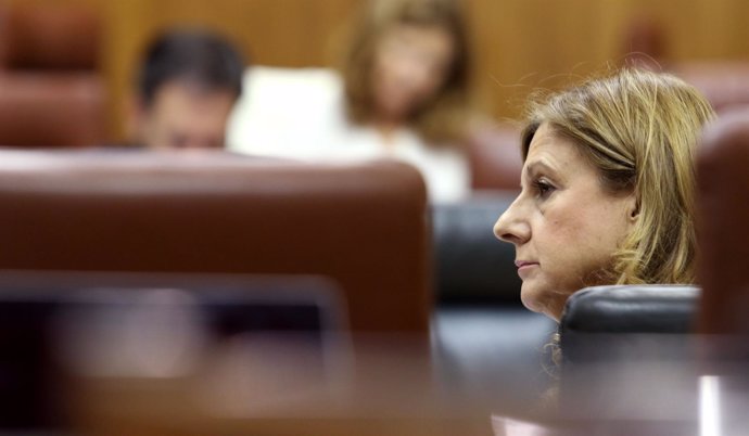 Mariana Álvarez en el Pleno del Parlamento