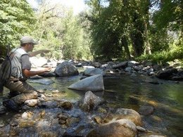 S'inicia la temporada de la pesca de la truita aquest maig