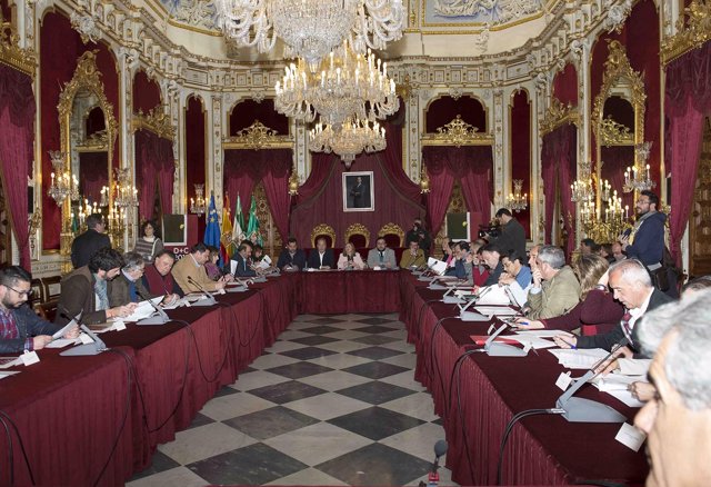 Consejo de Alcaldías en la Diputación de Cádiz