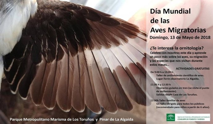 Actividad para celebrar el Día Mundial de las Aves