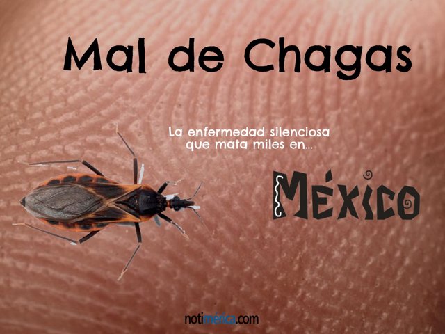 Mal de Chagas- enfermedad silenciosa