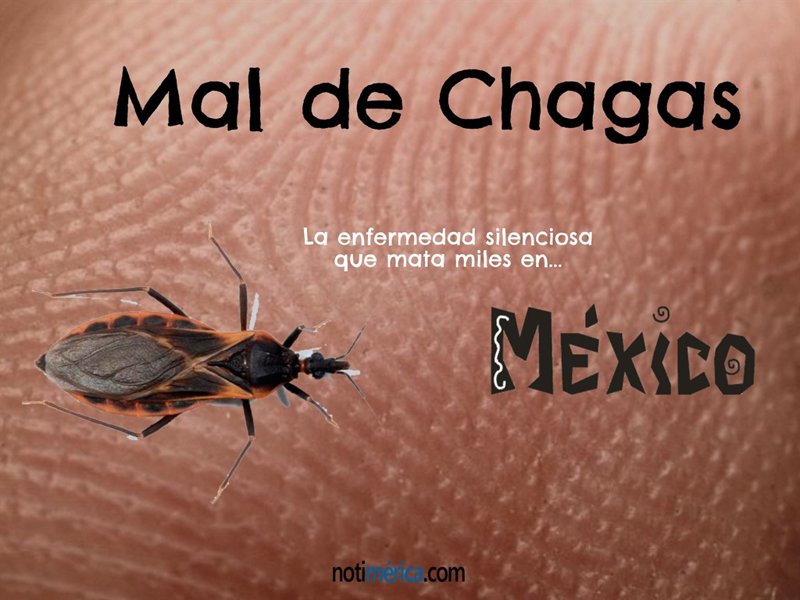 O Micro organismo Que Provoca O Mal De Chagas é Um