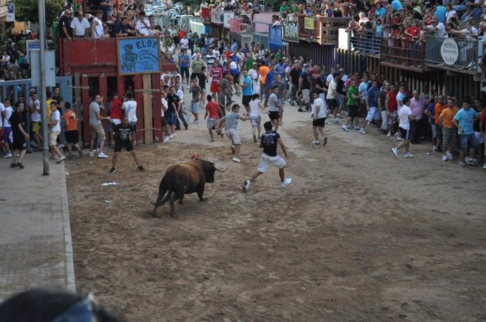 Imagen de archivo del 'bou per la vila'