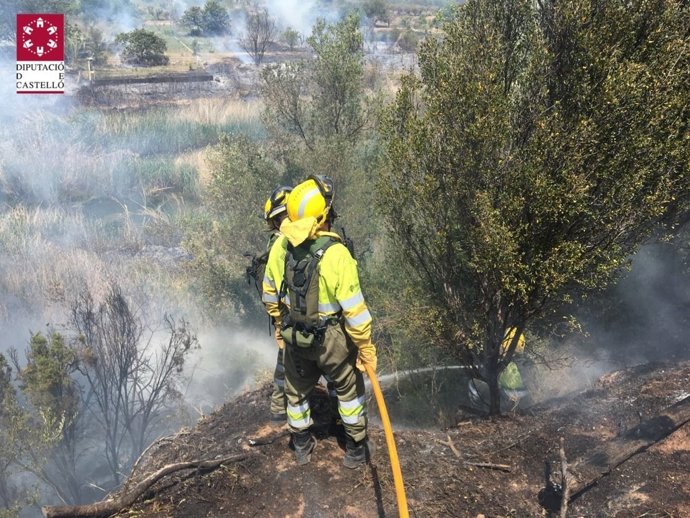INCENDIO FORESTAL DE FANZARA