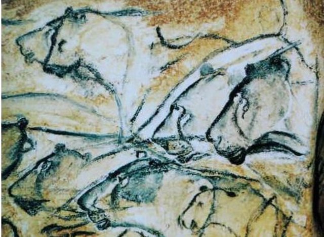 Ilustraciones detalladas de leones pintados en la cueva de Chauvet