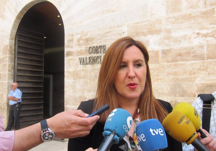 Maria José Català atiende a los medios ante las Corts