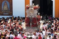 Villamanrique (Sevilla) recibe esta semana a 64 hermandades rocieras con motivo de su tradicional Paso