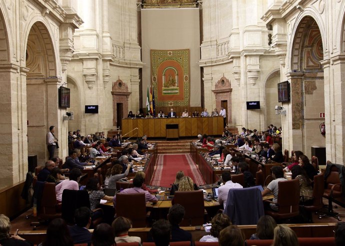 Pleno del Parlamento andaluz