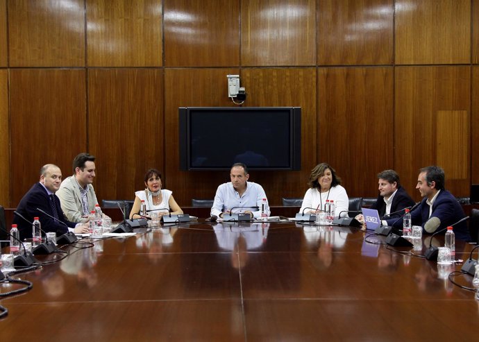 Reunión del grupo de trabajo para la reforma de la Ley Electoral de Andalucía