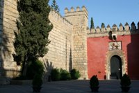 El Ayuntamiento anuncia inspección de urgencia para comprobar el arbolado tras el suceso del Alcázar