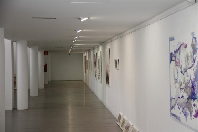 Victoria Jáimez exposición en Diputación arte cultura 