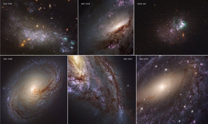 Regiones de formación estelar en galaxias cercanas