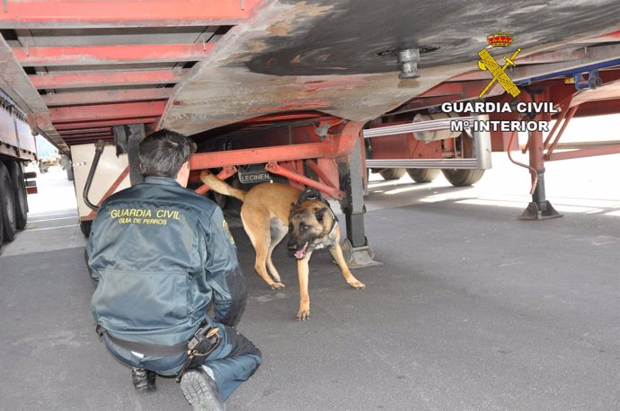 Un agente de Guardia Civil inspecciona un camión en el Puerto de Almería