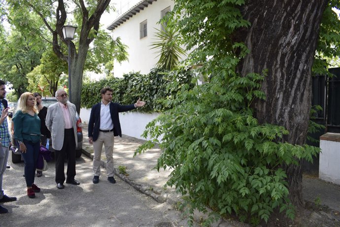 Beltrán Pérez en Reina Mercedes