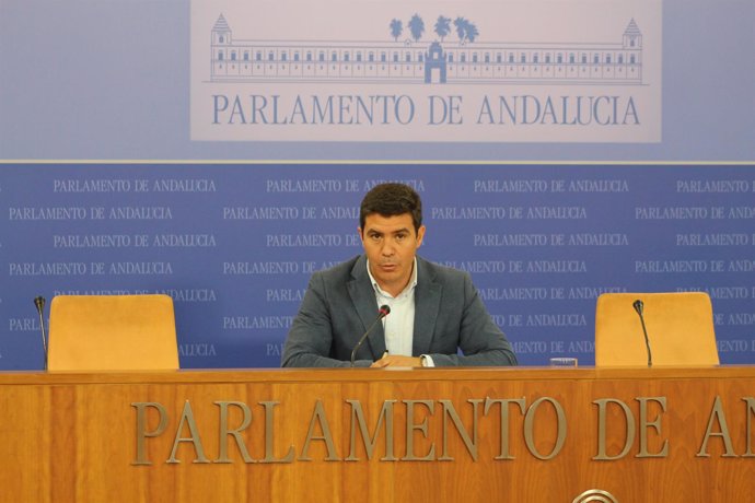 El portavoz adjunto de Cs en el Parlamento, Sergio Romero