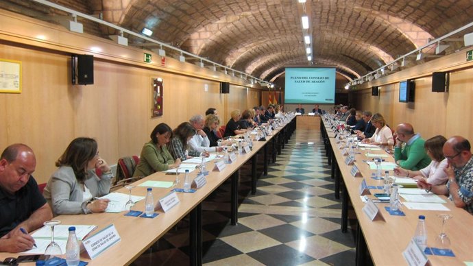 Pleno del Consejo de Salud de Aragón