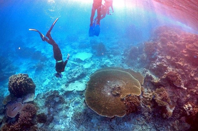 Día Internacional De La Diversidad Biológica: El Turismo Sostenible Se ...