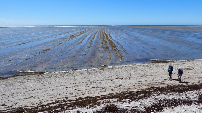 Búsqueda de estratos del Ordovícico en la isla Anticosti