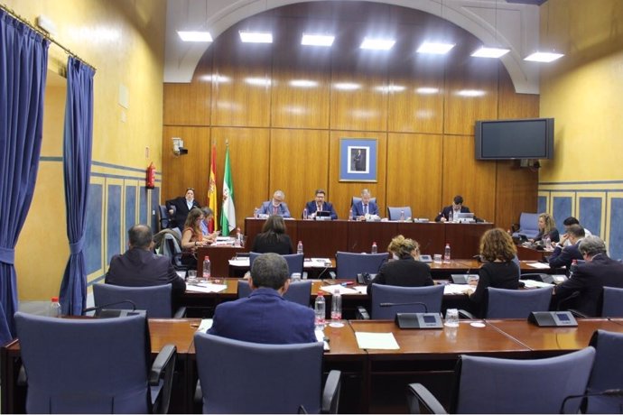 Comisión de Asuntos Europeos del Parlamento de Andalucía