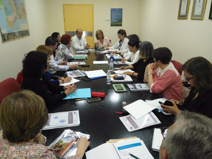 Comisión de participación ciudadana del Área de Gestión Sanitaria Norte de Jaén.