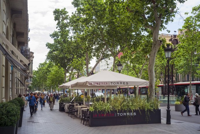 La Vinoteca Torres renueva su carta con nuevas propuestas