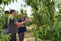 Monago trasladará al Gobierno los daños en el campo por las tormentas y reclama soluciones a la Junta