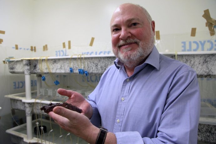El científico David Glanzman sosteniendo un caracol marino